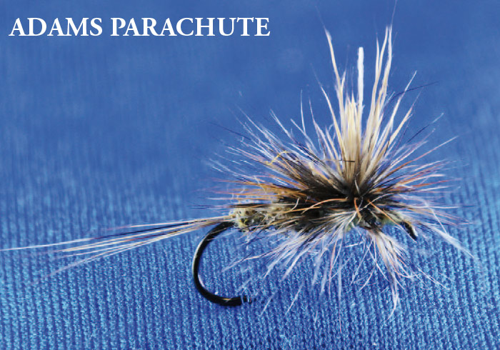 Adams_Parachute