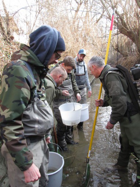 Erste Begutachtung der gerettet Fische. Foto: Schuster