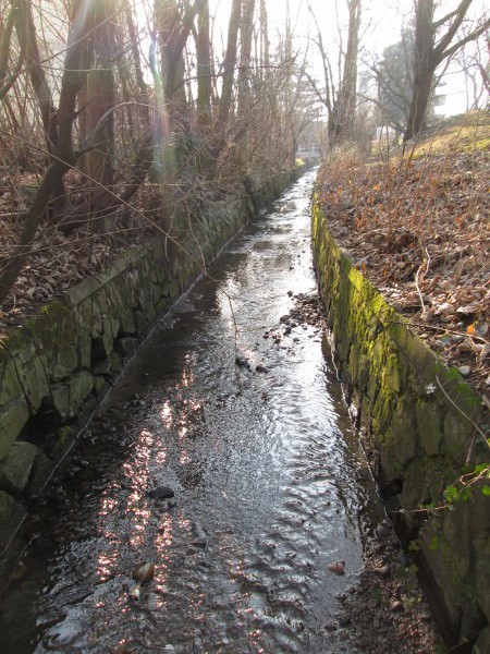 Selbst im oberen, extrem begradigten Teil des Aubaches, finden Fische Unterschlupf. Foto: Schuster