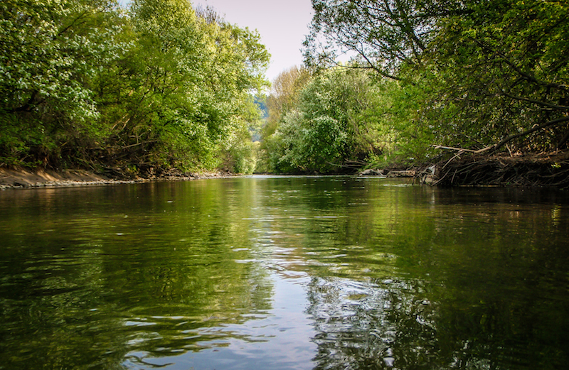 Erstes Grün verzaubert die Ufer unserer Flüsse © Gert Richter