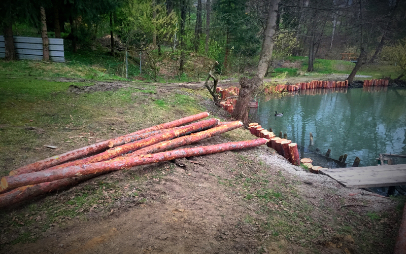 Naturnahe Uferbefestigung mittels Holzpfählen und Grobstein-Hinterfütterung. © Markus G.