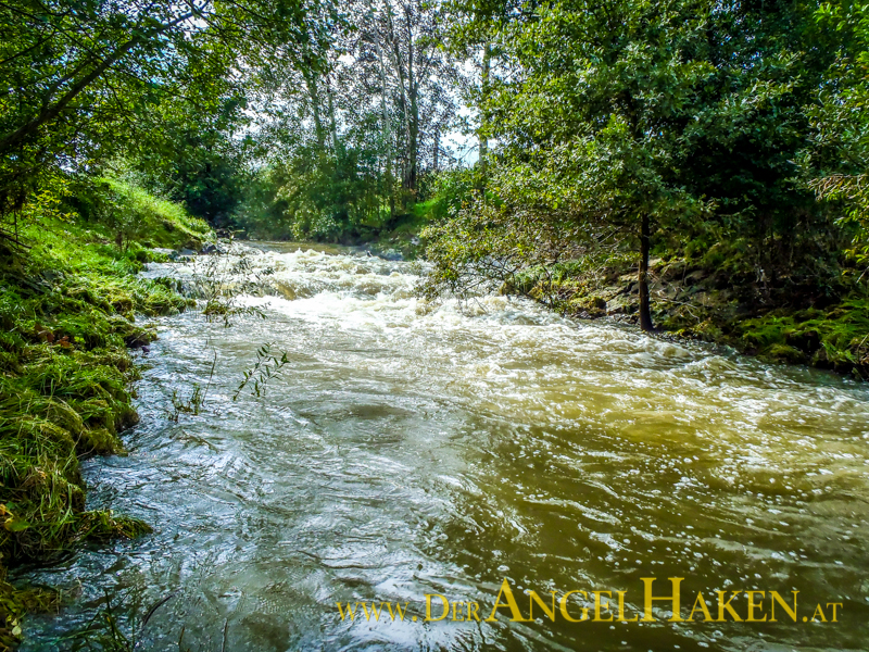 Turbulente Wasserführung im kleinen Fluss – Die Gleinz bei Hochwasser.