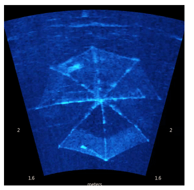 Mit dem Didson Sonar kann man sogar einen versunkenen Regenschirm eindeutig identifizieren.