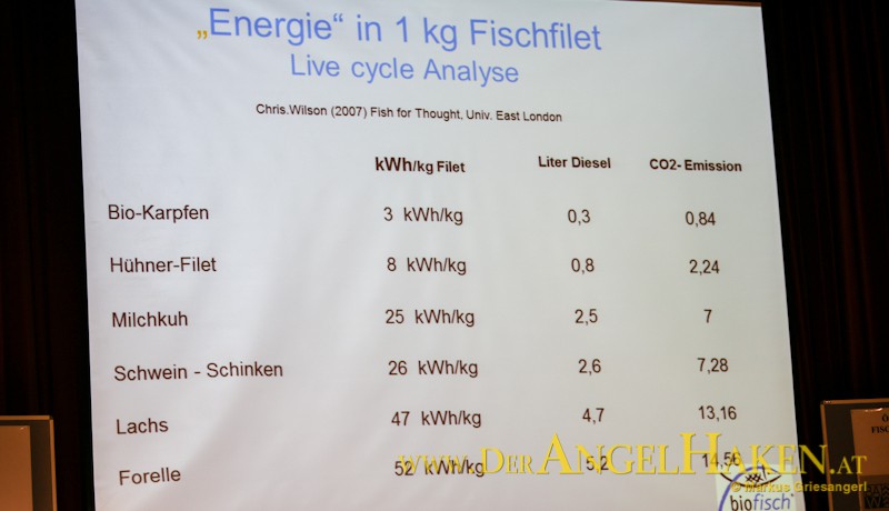 Unglaublich! Die Produktion von 1 Kilogramm Lachs verbraucht 47 Kilowattstunden Energie.