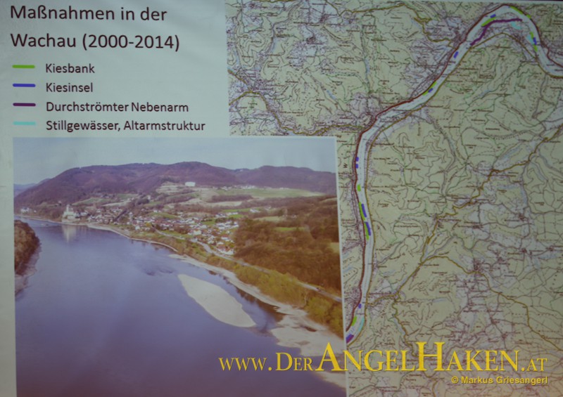 Nebenarm-Anbindung, Herstellung neuer Kiesbänke und Kiesinsel - einige der Revitalisierungsmaßnahmen an der Donau in der Wachau.