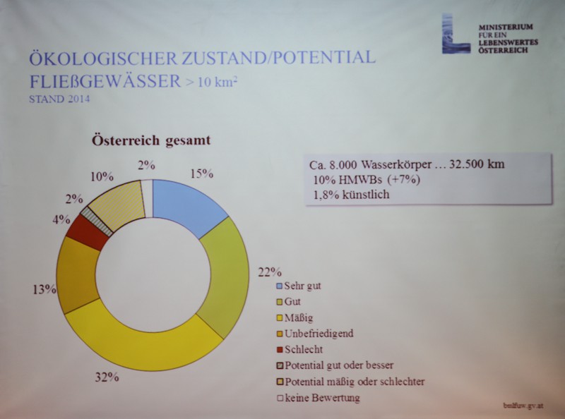 Relativ enttäuschender ökologischer Zustand österreichischer Fließgewässer.