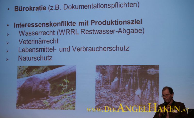 Willibald Hafellner - Obmann des Niederösterreichischen Teichwirteverbandes