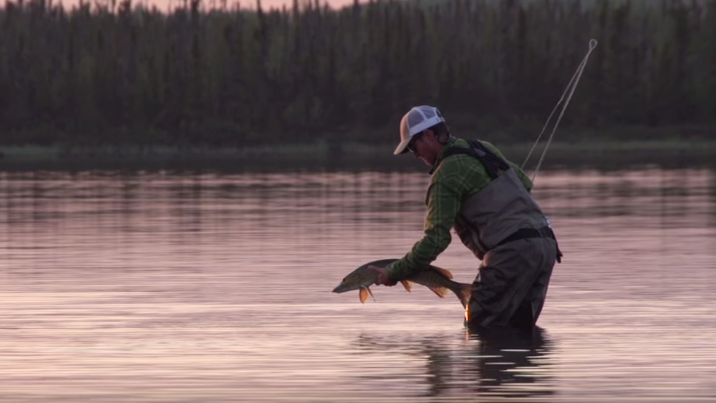 Der Film "Turning Points" zeigt ein atemberaubendes Abenteuer über das Fliegenfischen auf Northern Pikes in Kanada.
