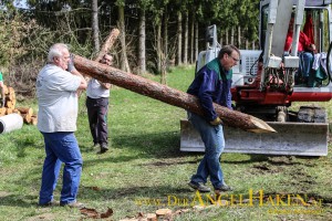 Bauarbeiten Uferstruktur