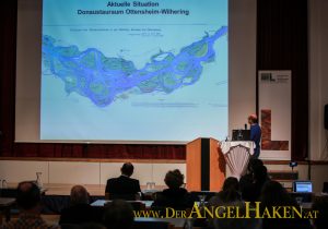 FAH Ottensheim-Wilhering: Die längste Fischaufstiegshilfe Europas