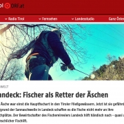 Menschlicher Fischlift für die Äsche. Tiroler retten Fisch des Jahres. - Screenshot orf.at