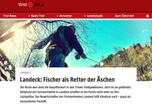Menschlicher Fischlift für die Äsche. Tiroler retten Fisch des Jahres. - Screenshot orf.at