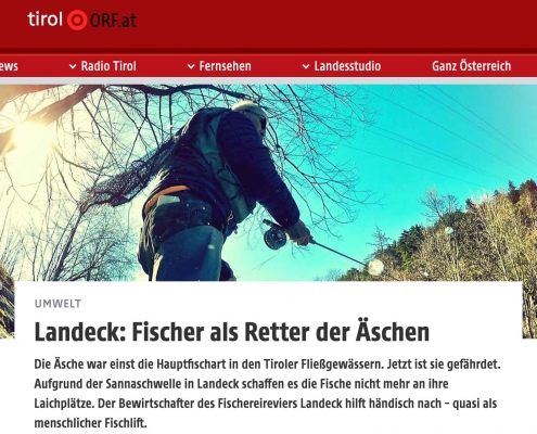 Menschlicher Fischlift für die Äsche. Tiroler retten Fisch des Jahres. - Screenshot orf.at