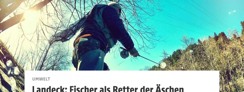 Menschlicher Fischlift für die Äsche. Tiroler retten Fisch des Jahres. - Screenshot orf.at